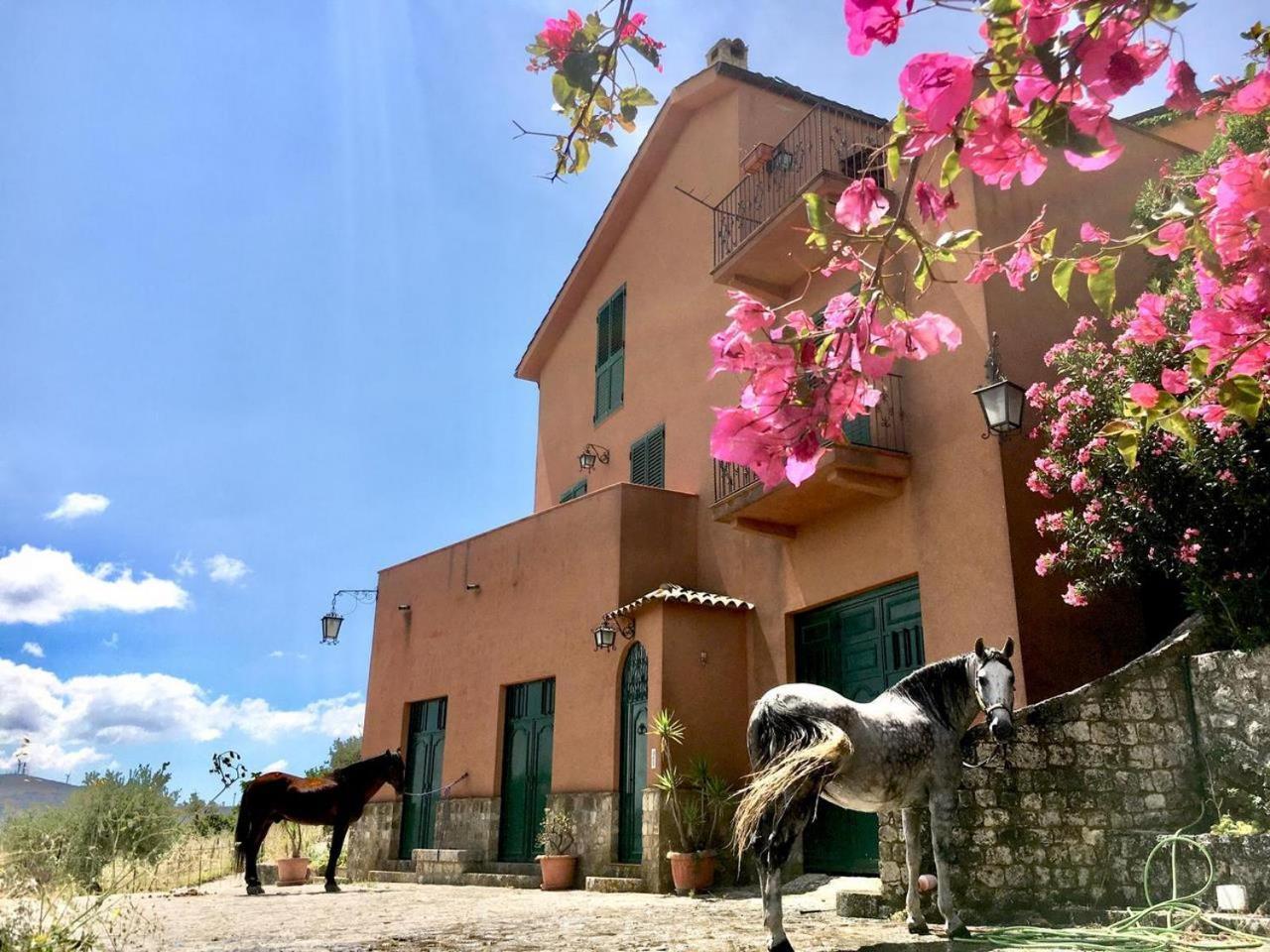Country Room Sicily - Agrigentoholidays Eksteriør billede
